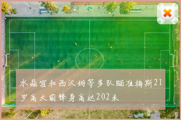 水晶宫和西汉姆等多队瞄准梅斯21岁高大前锋身高达202米